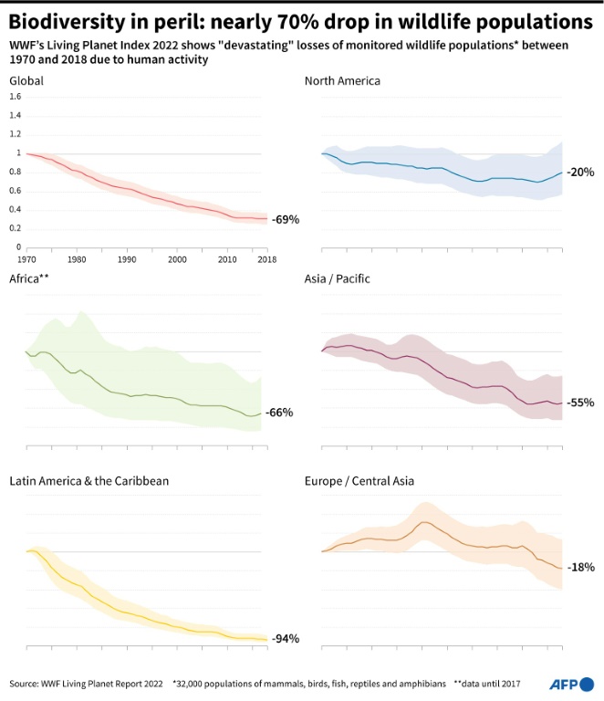 Wildlife Populations Plunge 69% Since 1970: WWF