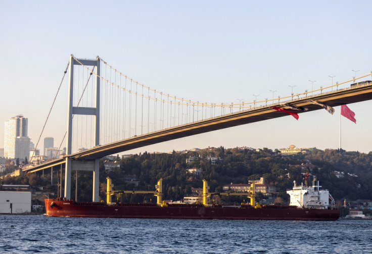 Zante, a cargo vessel carrying Ukrainian grain, transits Bosphorus, in Istanbul