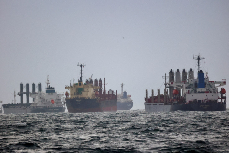 Vessels are seen as they await inspection under the Black Sea Grain Initiative in the southern anchorage of the Bosphorus in Istanbul