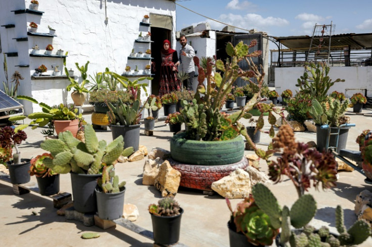Lacking space, Alaa and Salama Badwan use their rooftop for a small plant nursery