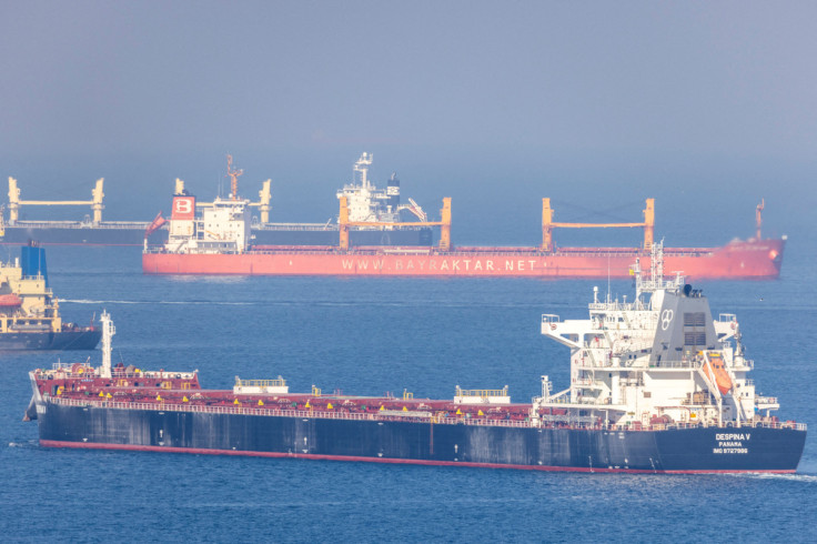 Cargo ship Despina V, carrying Ukrainian grain, is seen in the Black Sea off Kilyos near Istanbul