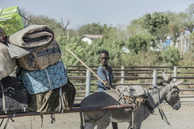 A young boy guides a donkey carrying the luggage of people  fleeing from Sudan to Ethiopia