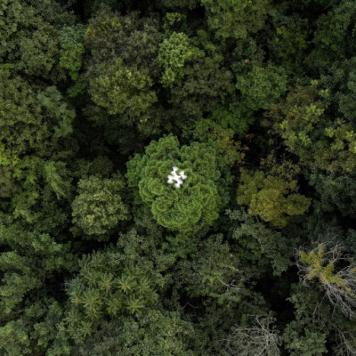 Drones are part of an increasingly sophisticated arsenal used by scientists to understand forests and their role in the battle against climate change
