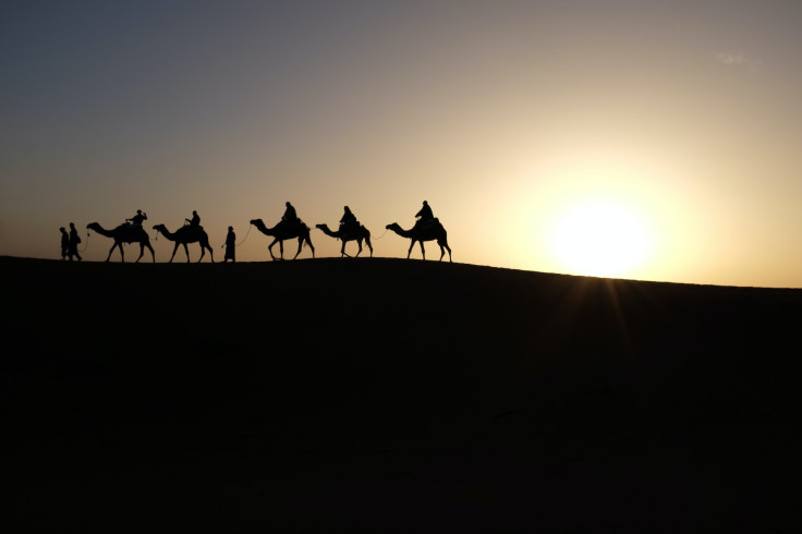 Camel Trek