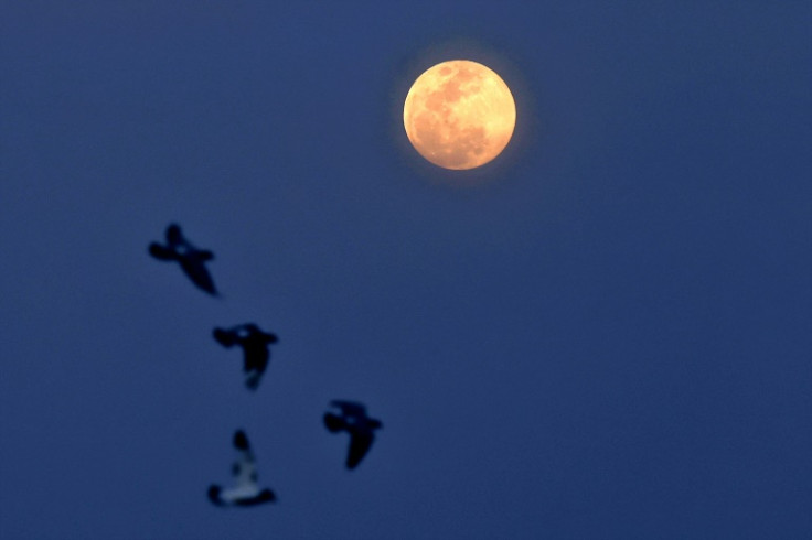 The moon rises over the Qatari capital Doha ahead of the lunar eclipse on Thursday